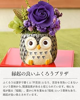 Amazon.co.jp: 長崎心泉堂 母の日 花とお菓子 プリザーブド